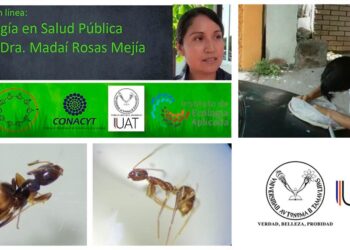 Colabora UAT en red científica de entomología y salud pública