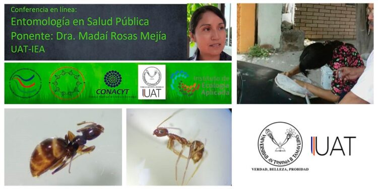 Colabora UAT en red científica de entomología y salud pública