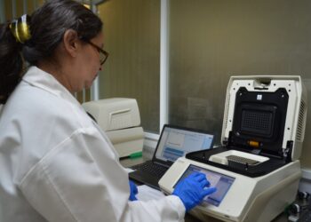 Confirman 113 casos de coronavirus en Tamaulipas, y 12 muertes