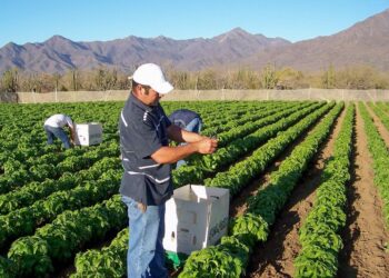Cambia México lineamientos de producción orgánica para fortalecer comercio