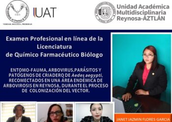 Egresados de la UAM Reynosa Aztlán presentan en línea examen profesional