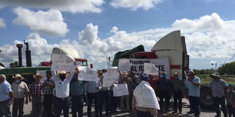 Sorgueros bloquean carreteras en norte y sur de Tamaulipas; exigen precio de garantía justo
