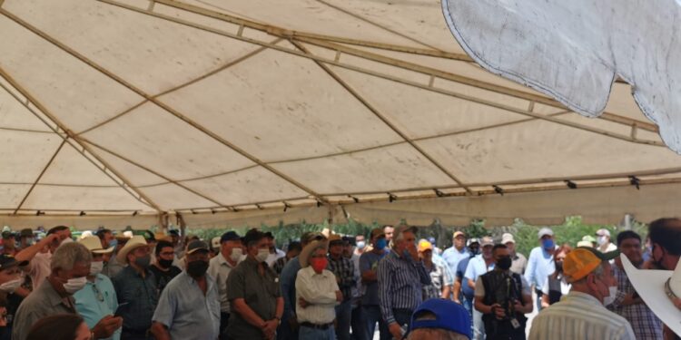 Sorgueros bloquean carreteras en norte y sur de Tamaulipas; exigen precio de garantía justo