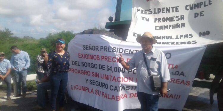 Sorgueros bloquean carreteras en norte y sur de Tamaulipas; exigen precio de garantía justo