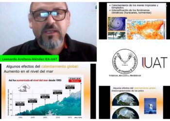 Exponen investigadores de la UAT la importancia de los ecosistemas costeros