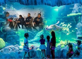 Podría Slim construir obra turística del Acuario en Tampico