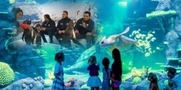 Podría Slim construir obra turística del Acuario en Tampico