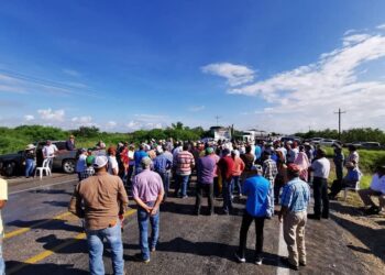 Se solidariza Senador Narro con sorgueros de Tamaulipas que claman precio de garantía