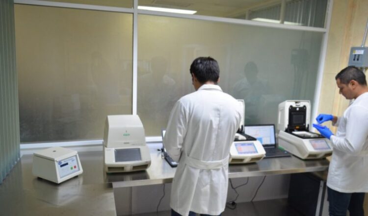 Llega a 275 muertos por  Covid-19 en Tamaulipas