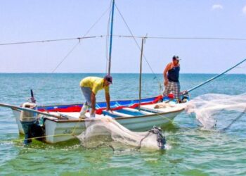 Cancela gobierno de AMLO subsidio a diesel pesquero