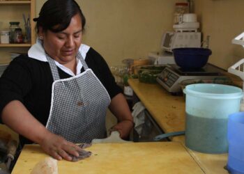 Demanda CROC despensas para trabajadoras domésticas por COVID-19