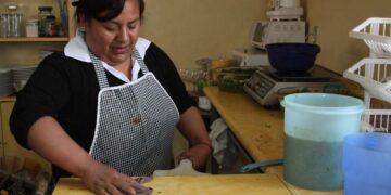 Demanda CROC despensas para trabajadoras domésticas por COVID-19