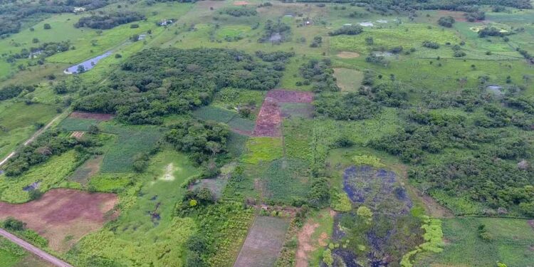 Descubren en Tabasco estructura más grande de la civilización maya