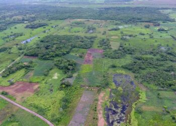 Descubren en Tabasco estructura más grande de la civilización maya
