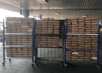 Decomisan cargas de marihuana por medio millón de dólares