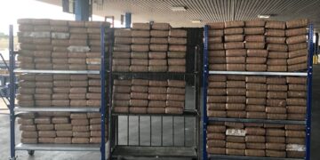 Decomisan cargas de marihuana por medio millón de dólares