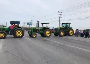 Sorgueros dan tregua de 8 días a SADER para fijar precio de garantía