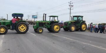 Sorgueros dan tregua de 8 días a SADER para fijar precio de garantía