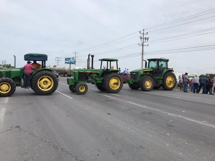 Sorgueros dan tregua de 8 días a SADER para fijar precio de garantía