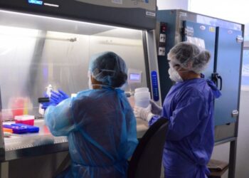 Reportan casi 300 positivos de COVID y 23 muertos, en un día en Tamaulipas