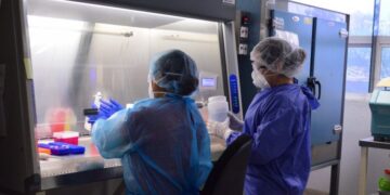 Reportan casi 300 positivos de COVID y 23 muertos, en un día en Tamaulipas