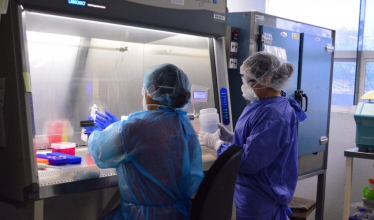 Reportan casi 300 positivos de COVID y 23 muertos, en un día en Tamaulipas