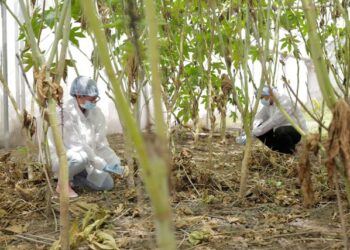 Conmemoran 120 aniversario del manejo fitosanitario en México
