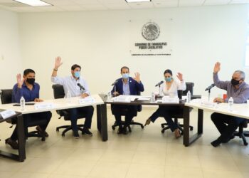 Será obligación de fraccionadores plantar árbol en cada lote para casa-habitación