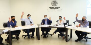 Será obligación de fraccionadores plantar árbol en cada lote para casa-habitación