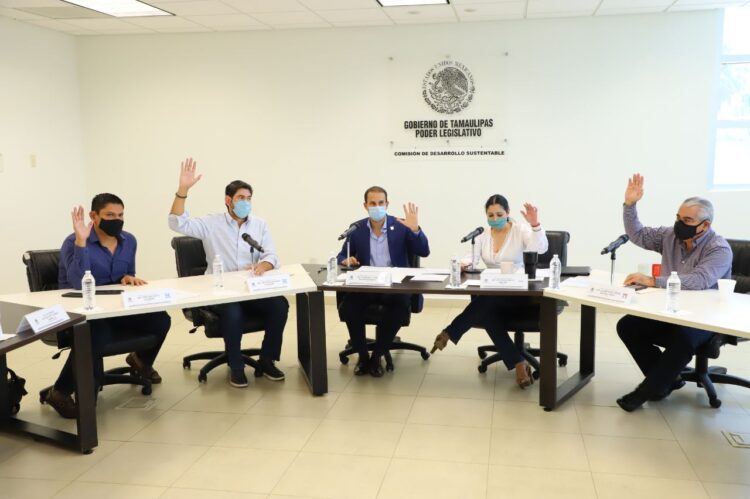 Será obligación de fraccionadores plantar árbol en cada lote para casa-habitación