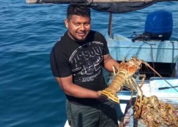 Arranca 1 de julio captura de langosta en Golfo de México y Caribe