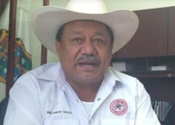 Productores de sorgo demandan precio de garantía