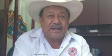 Productores de sorgo demandan precio de garantía