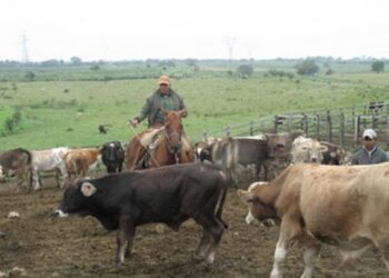 Convoca CNOG a alianza con la Federación para salvaguardar ganadería en México