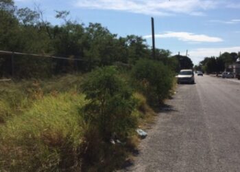 Es Victoria un criadero de zancudos