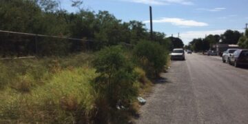 Es Victoria un criadero de zancudos