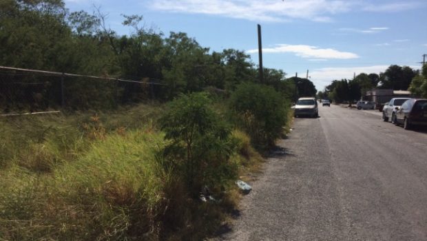 Es Victoria un criadero de zancudos
