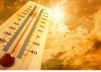 Llegada del Verano traerá más calor para Tamaulipas