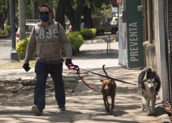 Confirma Protección Civil que sismo en CDMX no dejó daños ni lesionados