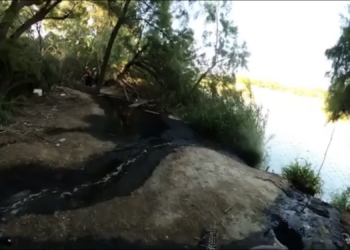 Acusa Partido Verde contaminación del río Bravo