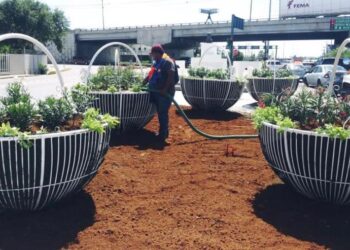 Mejoran con maceteros imagen del bulevar Colosio