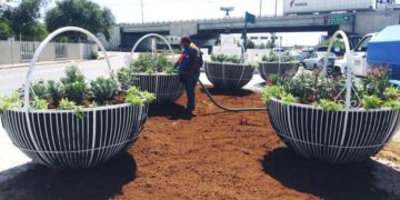 Mejoran con maceteros imagen del bulevar Colosio