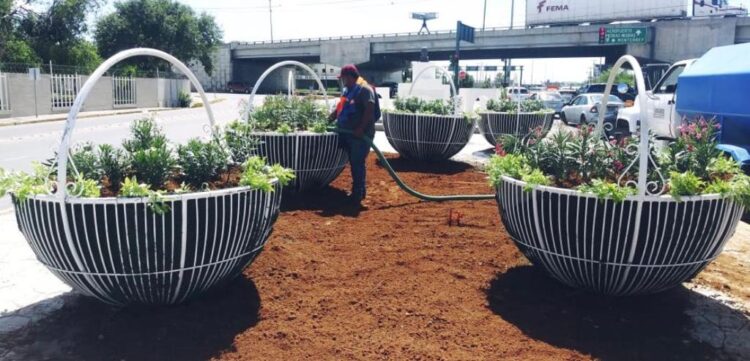 Mejoran con maceteros imagen del bulevar Colosio