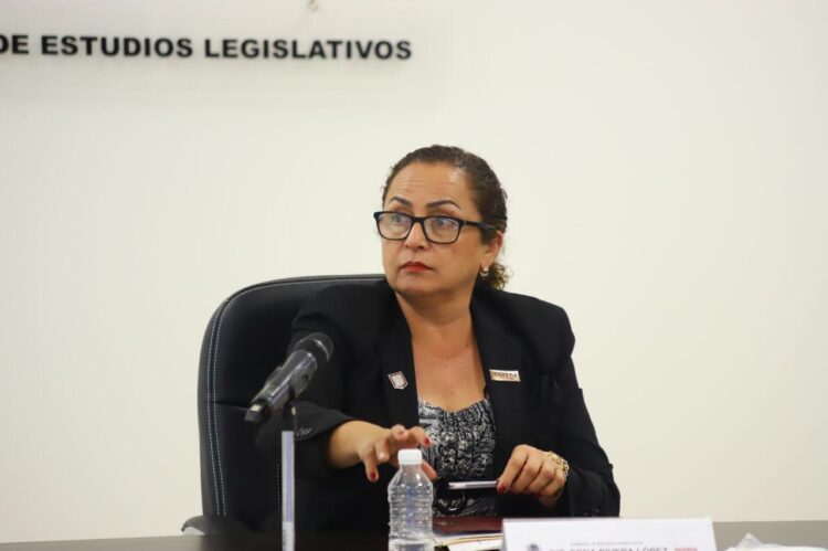 Ley de Amnistía es avanzar en protección de los derechos humanos, afirma diputada de Morena