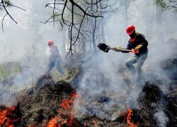 Registra México 12 incendios forestales