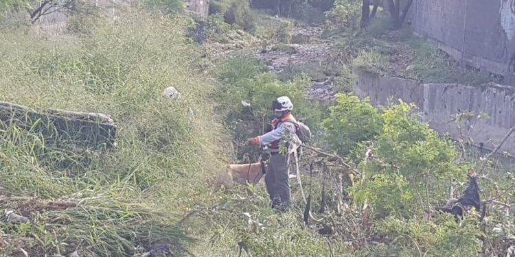 Arroyo arrastra auto de mariachis en Nuevo León, hay 4 muertos