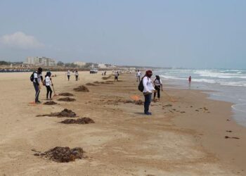 Playa Miramar, solamente desde el auto…