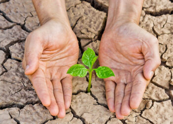 Inventan “Lluvia sólida”, muy útil para combatir las sequías