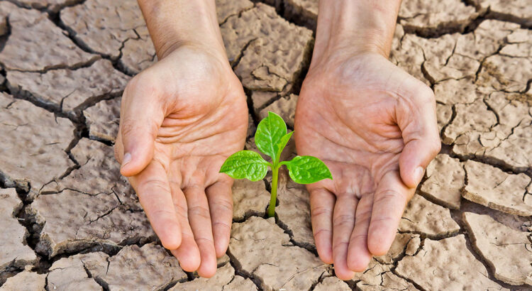 Inventan “Lluvia sólida”, muy útil para combatir las sequías
