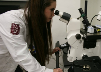 Diabéticos podrían dejar de usar insulina; Politécnico descubre nuevo tratamiento